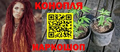 мяу мяу мука Кунгур