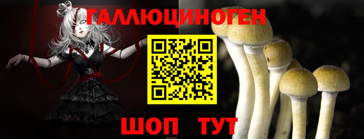 Галлюциногенные грибы мицелий Златоуст